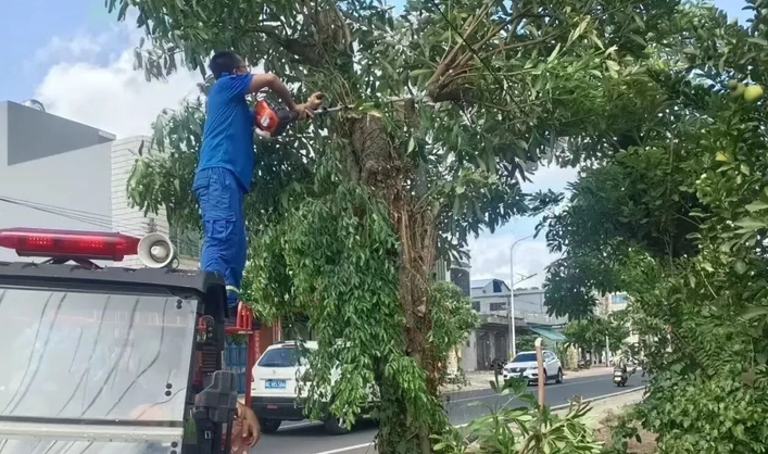 台风美莎克来袭：湖南防洪排涝设施的机电安装工程解析